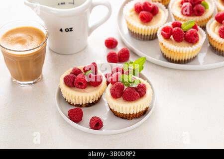 Klassischer New Yorker Käsekuchen in einzelnen Tassen mit frischer Himbeere und Kaffee Stockfoto