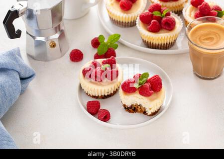 Klassischer New Yorker Käsekuchen in einzelnen Tassen mit frischer Himbeere, serviert mit Kaffee und einem Happen Stockfoto