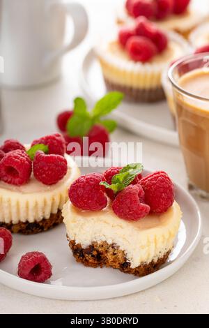 Klassischer New Yorker Käsekuchen in einzelnen Tassen mit frischer Himbeere, serviert mit Kaffee und einem Happen Stockfoto