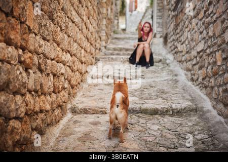 Ein Shiba Inu spaziert durch eine enge mittelalterliche Straße, die von strukturierten Steinmauern umgeben ist. Der rustikale Charme und die ruhige Atmosphäre unterstreichen das historische Stockfoto