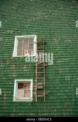 Zwei Fenster und eine Leiter an einer grünen hölzernen, schindelten Hausaußenwand, die reparaturbedürftig ist, mit abblätternder Farbe im Vintage-Stil Stockfoto