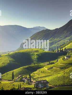 Blick auf Weinberge und Kirche in St. Magdalena in Prazöll, Zentrum-Bozner Boden-Rentsch, Bozen oder Bozen Südtirol, Italien, Europa. Stockfoto