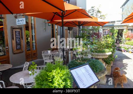 Bowral Stadtzentrum, Green Lane bietet ein einzigartiges Einkaufserlebnis mit lokalen unabhängigen Geschäften, einschließlich Harrys Restaurant Pictured, NSW, Australien Stockfoto