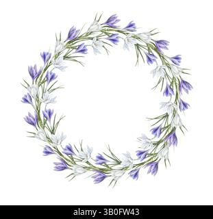 Weiße und violette Krokusse mit grünen Blättern in realistischem Stil. Runder Kranz mit botanischem Aquarell für Frühlingsmotive, Hochzeitseinladungen, Begrüßung Stockfoto