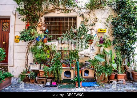 Malerischer Blick auf Trastevere mit einem Wohnhaus, üppiger Vegetation und einer friedlichen Katzenkolonie in einer ruhigen Gasse im historischen Rom, Italien. Stockfoto