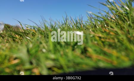 4K-Luftaufnahme in den Wirral-Gebieten von Birkenhead, Wallasey, New Brighton, West Kirby, Arrowe und Oxton. Stockfoto