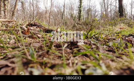 4K-Luftaufnahme in den Wirral-Gebieten von Birkenhead, Wallasey, New Brighton, West Kirby, Arrowe und Oxton. Stockfoto