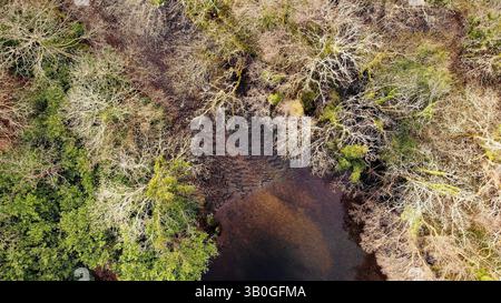 4K-Luftaufnahme in den Wirral-Gebieten von Birkenhead, Wallasey, New Brighton, West Kirby, Arrowe und Oxton. Stockfoto