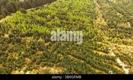 4K-Luftaufnahme in den Wirral-Gebieten von Birkenhead, Wallasey, New Brighton, West Kirby, Arrowe und Oxton. Stockfoto