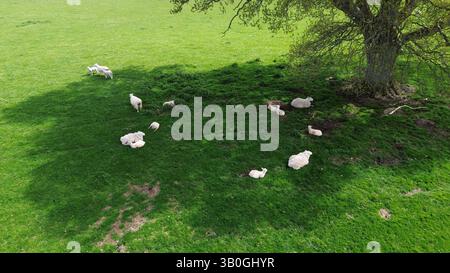 4K-Luftaufnahme in den Wirral-Gebieten von Birkenhead, Wallasey, New Brighton, West Kirby, Arrowe und Oxton. Stockfoto
