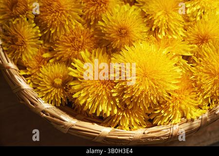 Löwenzahn Blumen in einem Korb, Nahaufnahme Stockfoto