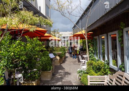 Bowral Stadtzentrum, Green Lane Einkaufs- und Restaurantviertel, zwei Damen gehen in Richtung Potting Shed Nursery and Plants Centre, NSW, Australien Stockfoto