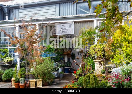 Bowral im südlichen Hochland von New South Wales, die Potting Shed Garden Plant Nursery in Green Lane Bowral, NSW, Australien Stockfoto