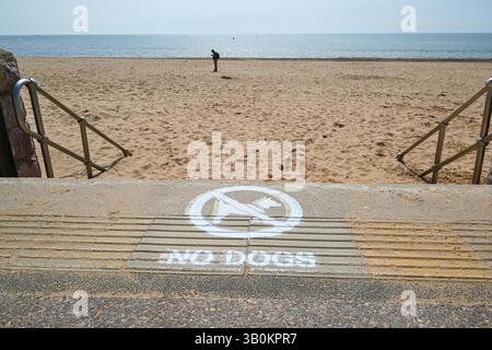 Exmouth, Devon, Großbritannien. April 2025. Wetter in Großbritannien: Auf den Stufen zum Strand gibt es ein Schild mit Not Dogs, das zwischen 1. Mai und 30. September im Badeort Exmouth in Devon an einem Tag mit heißem Sonnenschein in Kraft ist. Bildnachweis: Graham Hunt/Alamy Live News Stockfoto