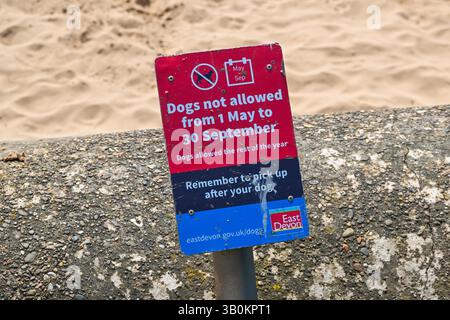 Exmouth, Devon, Großbritannien. April 2025. Wetter in Großbritannien: Ein Schild am Strand, das besagt, dass Hunde vom 1. Mai bis 30. September im Badeort Exmouth in Devon an einem Tag mit heißer Sonne nicht erlaubt sind. Bildnachweis: Graham Hunt/Alamy Live News Stockfoto
