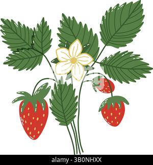 Abbildung von Erdbeeren, Blättern und Blumen in einem stilisierten Design Stock Vektor