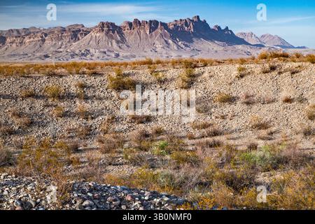 Chisos Mountains, Fernblick von den Ruinen der Johnson Ranch an der River Road, Chihuahuan Desert, Big Bend National Park, Texas, USA Stockfoto
