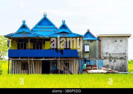 Traditionelles Haus auf Reisfeld. Das Gebiet des Geoparks Maros Pangkep, Dorf Maros, Süd-Sulawesi, Indonesien. Stockfoto