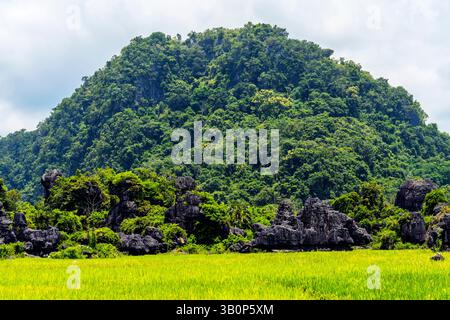 Der Maros Pangkep Geopark, kars Steinwald in Maros, Süd-Sulawesi, Indonesien. Außerhalb von Makassar liegt Rammang-Rammang, Heimat eines der Welt Stockfoto