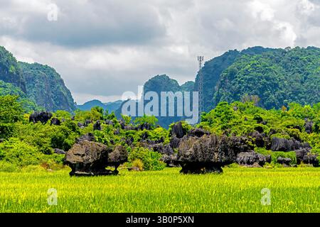 Der Maros Pangkep Geopark, kars Steinwald in Maros, Süd-Sulawesi, Indonesien. Außerhalb von Makassar liegt Rammang-Rammang, Heimat eines der Welt Stockfoto