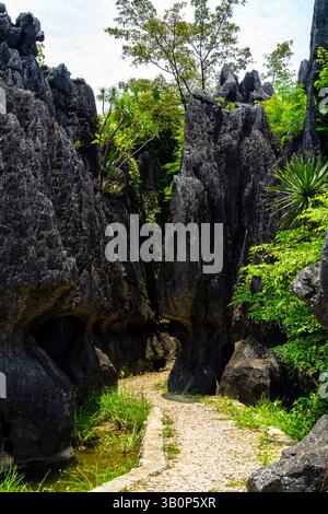 Der Maros Pangkep Geopark, kars Steinwald in Maros, Süd-Sulawesi, Indonesien. Außerhalb von Makassar liegt Rammang-Rammang, Heimat eines der Welt Stockfoto