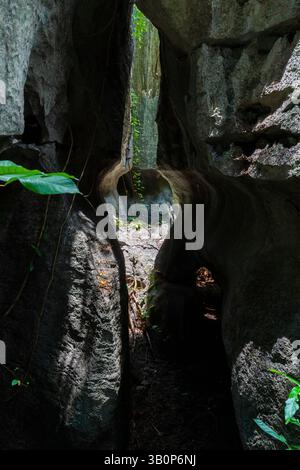Der Maros Pangkep Geopark, kars Steinwald in Maros, Süd-Sulawesi, Indonesien. Außerhalb von Makassar liegt Rammang-Rammang, Heimat eines der Welt Stockfoto