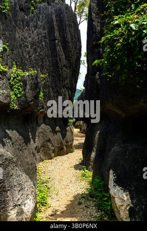 Der Maros Pangkep Geopark, kars Steinwald in Maros, Süd-Sulawesi, Indonesien. Außerhalb von Makassar liegt Rammang-Rammang, Heimat eines der Welt Stockfoto