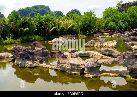 Der Maros Pangkep Geopark, kars Steinwald in Maros, Süd-Sulawesi, Indonesien. Außerhalb von Makassar liegt Rammang-Rammang, Heimat eines der Welt Stockfoto