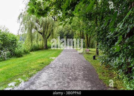 Leere Bank entlang eines einsamen, schlammigen Pfades in einem Park am Fluss an einem verregneten Sommertag Stockfoto