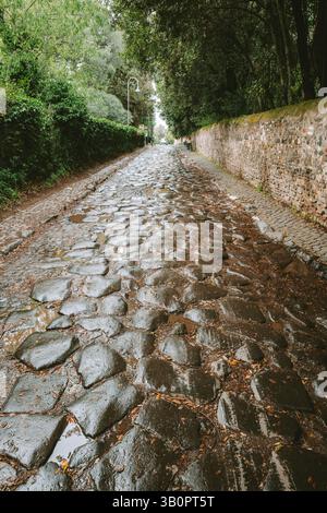 17-04-2025 Rom, Italien. Tiefer, weiter Blick auf den alten Appianischen Weg, auch bekannt als Via Appia Antica, eine der ältesten erhaltenen römischen Straßen. Stockfoto