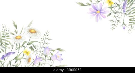 Wildblumen Kamille, Glockenblume, Butterblume, Mäuseerbsen und Wiesengräser. Handgezeichnete isolierte Aquarellfarbe rechteckiger horizontaler Rahmen Abbildung o Stockfoto