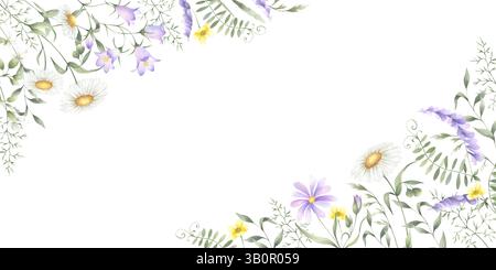 Wildblumen Kamille, Glockenblume, Butterblume, Mäuseerbsen und Wiesengräser. Handgezeichnete isolierte Aquarellfarbe rechteckiger horizontaler Rahmen Abbildung o Stockfoto