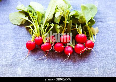 Knuspriger Rettich-Makroeffekt aus der Nähe Stockfoto