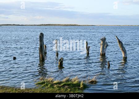 Alte Holzpfosten (mögliche Überreste eines alten Piers oder Bootsschuppen) in Hochwasser überfluteten Sumpfgebieten in Thornham, Norfolk, England, Großbritannien Stockfoto