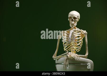 Künstliches menschliches Skelett Modell sitzend und Stuhl auf grünem Hintergrund, Raum für Text Stockfoto