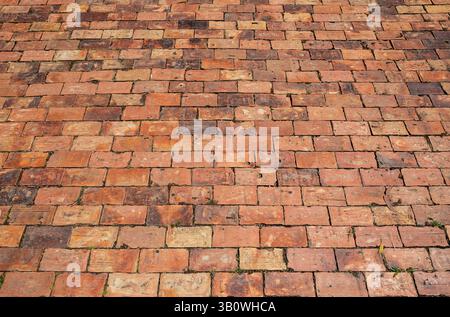 Pflastersteine aus rotem Backstein auf einem Bürgersteig Stockfoto