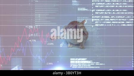 Bild der Datenverarbeitung über weißem Hintergrund und Katze Stockfoto