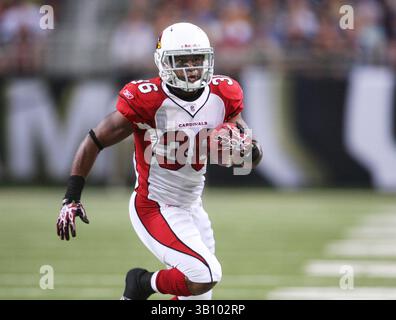12. September 2010: Arizona Cardinals Running Back LaRod Stephens-Howling findet Platz zum Laufen während eines Sieges über den St. Louis Rams Sunday im Edward Jones Dome in St. Louis, Mo. 17-13. (Bild: © Scott Sewell/Cal Sport Media/ZUMApress.com) Stockfoto