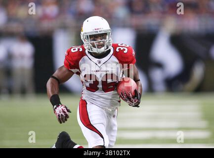 12. September 2010: Arizona Cardinals Running Back LaRod Stephens-Howling findet Platz zum Laufen während eines Sieges über den St. Louis Rams Sunday im Edward Jones Dome in St. Louis, Mo. 17-13. (Bild: © Scott Sewell/Cal Sport Media/ZUMApress.com) Stockfoto