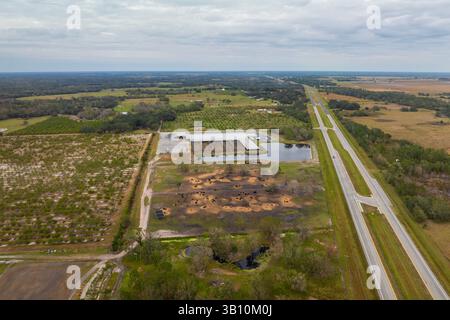 Kuhfutterpartie mit Fleischkühen. Viehhaltung auf dem Bauernhof in den USA Stockfoto