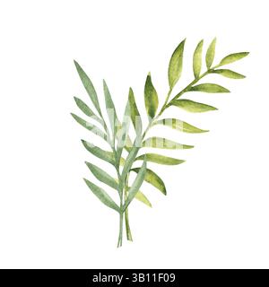 Zusammensetzung Der Tropischen Blätter. Eukalyptus- und Palmenaquarell-Bouquet. Handgezeichnete botanische Illustration isoliert auf weißem Hintergrund. Für Karten Stockfoto