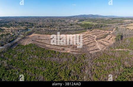 Munford, Alabama - aus der Vogelperspektive eine klare Holzfällung. Zwei Drittel Alabamas sind bewaldet, und Holzeinschlag ist ein wichtiger Industriezweig. Stockfoto