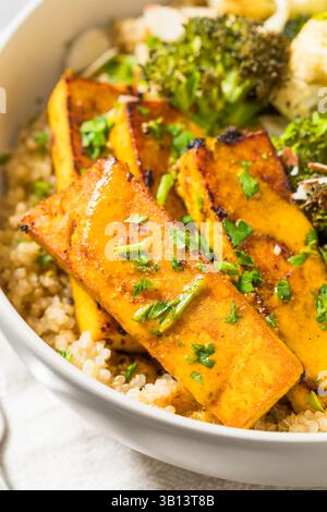 Gesunde vegane Tofu Quinoa Schüssel mit Brokkoli und Blumenkohl Stockfoto