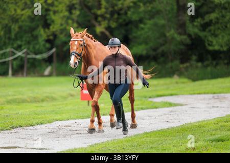 Nikola Bartova aus Tschechien mit Portas während der CCI2* L erste Pferdeinspektion bei den Strzegom Spring Open II am 24. April 2025 in Strzegom, Polen (Foto: Maxime David - MXIMD Pictures) Stockfoto