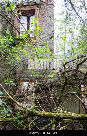 Bad Illstern, italien, verlor seinen Platz. Außenansicht eines baufälligen Gebäudes, teilweise verdeckt durch dichten Überwuchs. Fenster sind durch den Zapfen sichtbar Stockfoto
