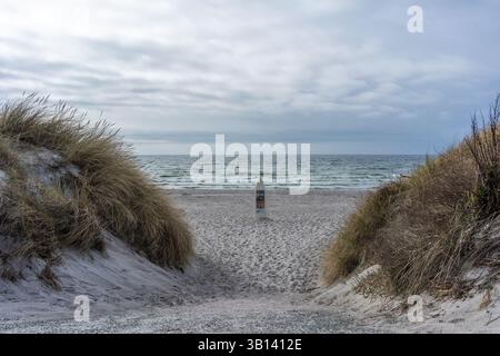 Weststrand der Insel Hiddensee bei Vitte, Blick auf einen Weg durch die Dünen in Richtung Ostseestrand, Mecklenburg-Vorpommern, Deutschland, Europa Stockfoto