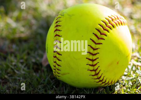 Hellgelber Softball in der Natur Stockfoto