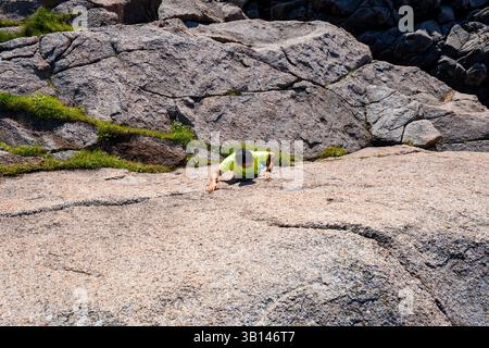 Junger Mann beim Freeclimbing oder Bouldern, klettern im Freien Stockfoto