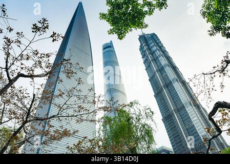 Shanghai, China - 1. April 2025: Flacher Blick auf den Shanghai Tower, das World Financial Center und den Jin Mao Tower vor blauem Himmel mit umrahmten Blättern Stockfoto