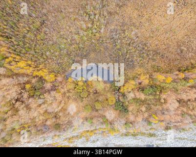 Antenne drone Ansicht von atemberaubenden farbenfrohen Herbst Wald. Drone Luftaufnahme Konzept. Stockfoto